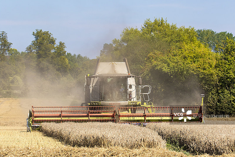 夏季小麦收割图片素材