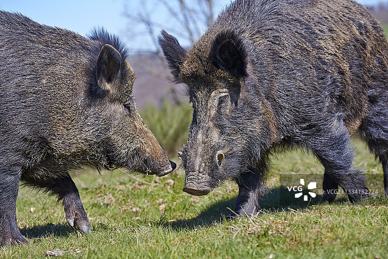 私人公园图片素材