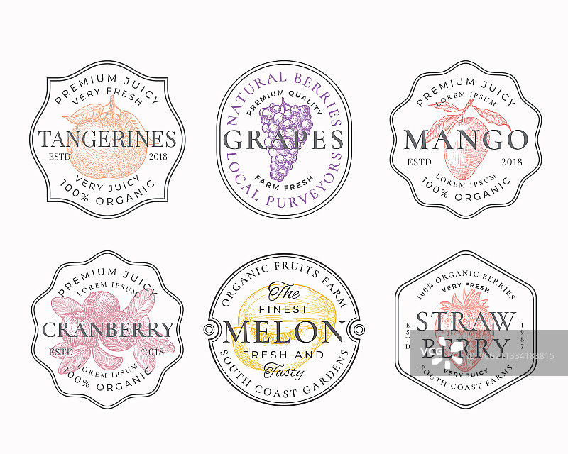 水果和浆果边框徽章或logo模板图片素材