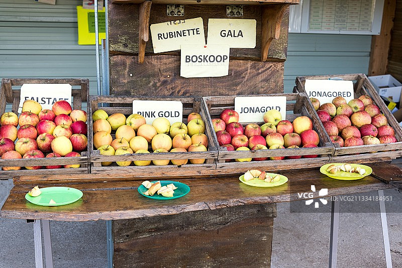 果园里的苹果品尝摊位图片素材