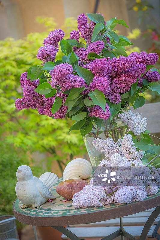 春季鲜花餐桌，紫丁香，法国普罗旺斯图片素材