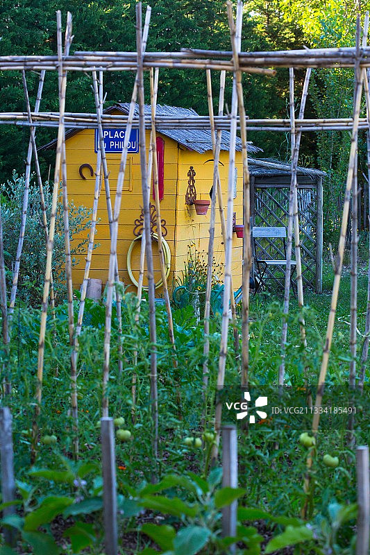 法国普罗旺斯春天厨房菜园，番茄和棚屋图片素材