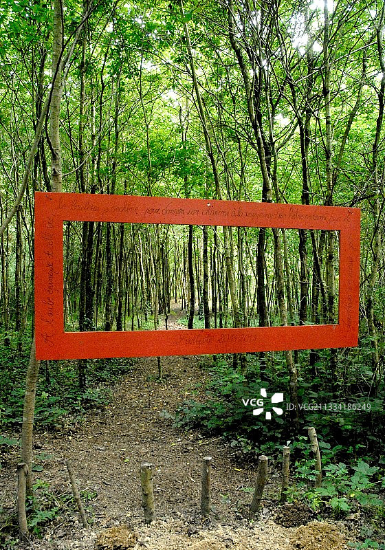 森林中的艺术装置图片素材