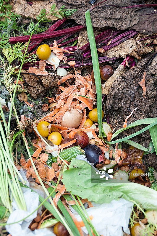 堆肥箱中的餐饮垃圾图片素材