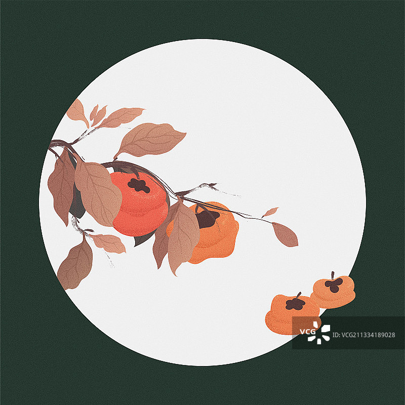 柿子柿饼包装插画矢量图片素材