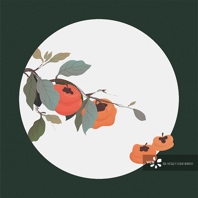 柿子柿饼包装插画矢量图片素材