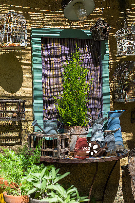 普罗旺斯花园小屋前的盆栽蒙特雷柏树图片素材