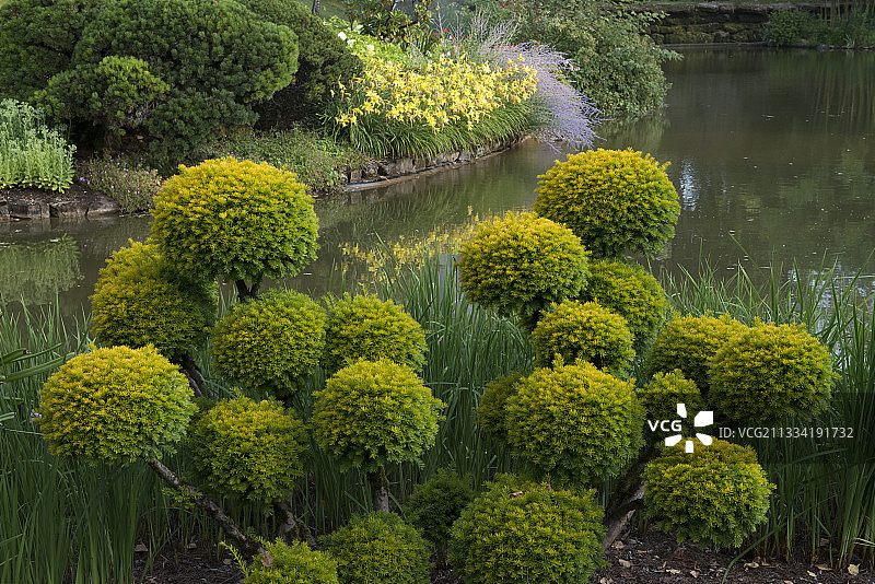 法国卢瓦尔河谷阿普雷蒙鲜花公园图片素材