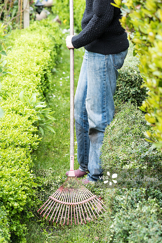 春天花园里耙树枝图片素材