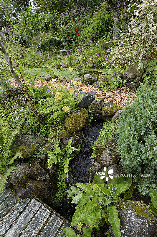 法国孚日省科尼蒙特，莫泽洛特河谷花园，小溪、木桥和蕨类植物图片素材