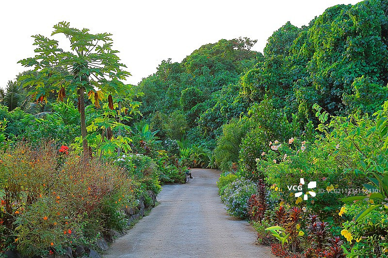 奥普诺胡的“热带花园”图片素材