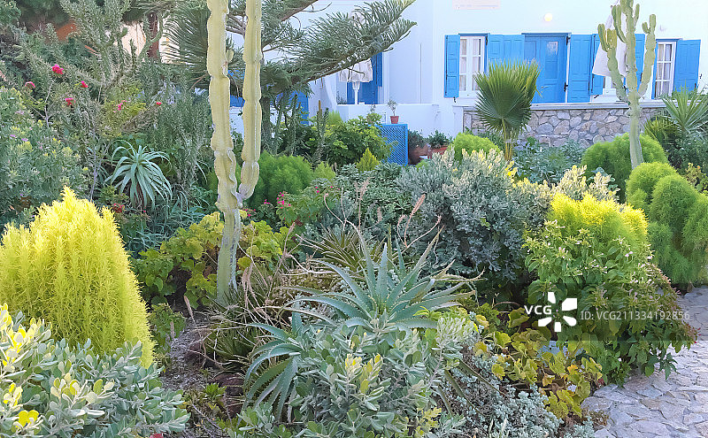 圣托里尼岛卡马里地中海植物私家花园图片素材