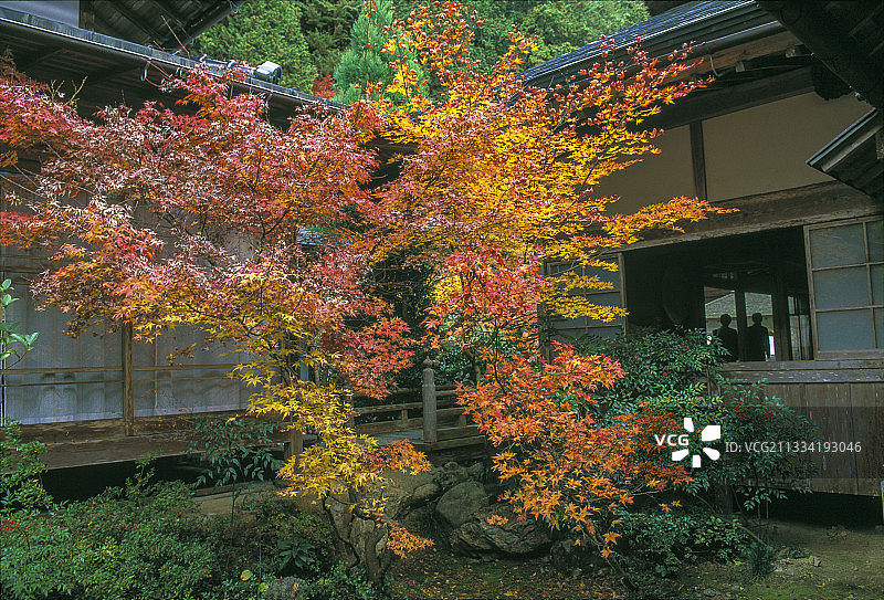 日本本州岛京都旧佛教寺院图片素材