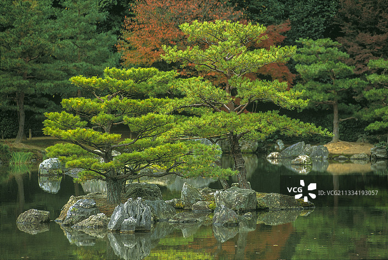 日本本州岛京都金阁寺图片素材
