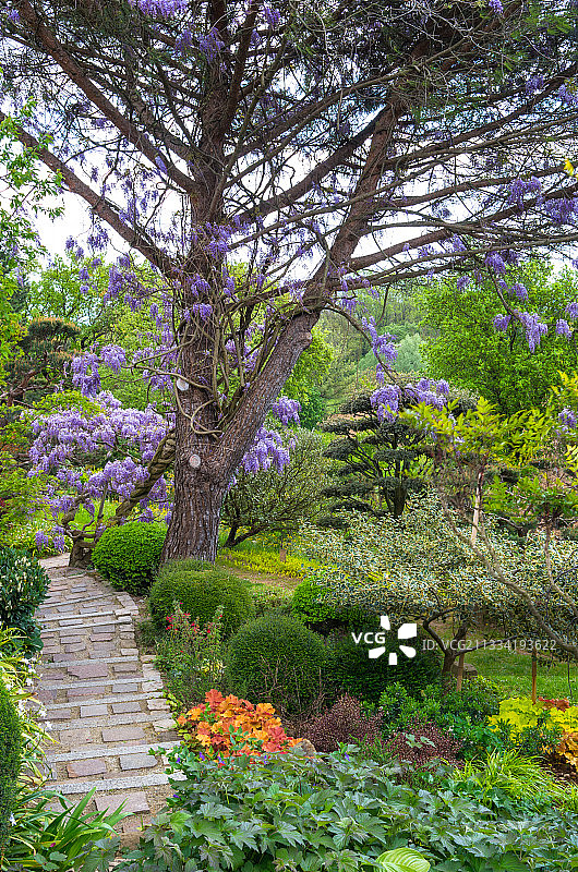 埃里克·博尔哈禅宗花园，法国德龙省博蒙蒙托图片素材