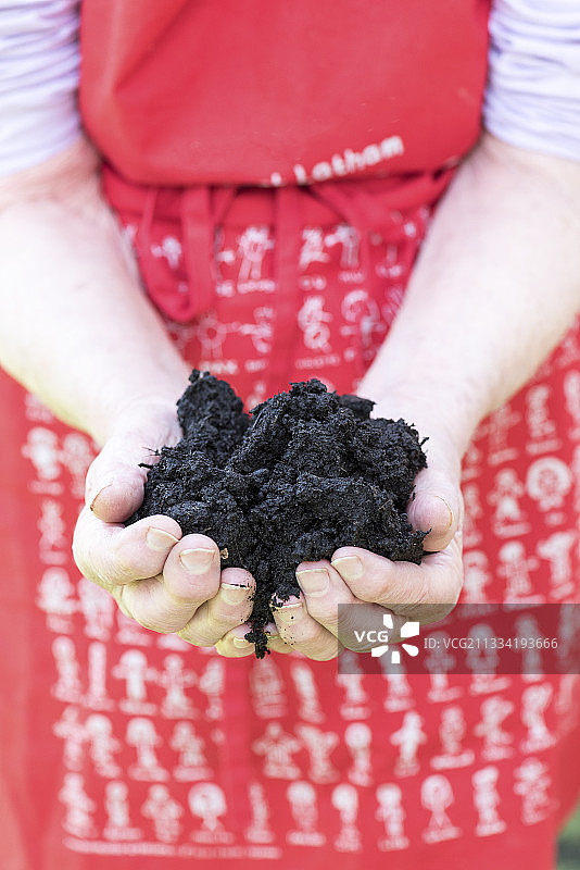 在女人手中的堆肥图片素材
