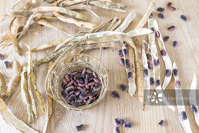 桌子上的红花菜豆种子图片素材