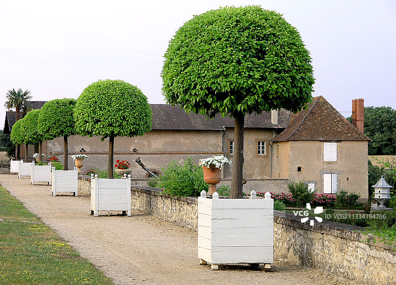 迪戈瓦纳城堡花园盆栽橘子树图片素材