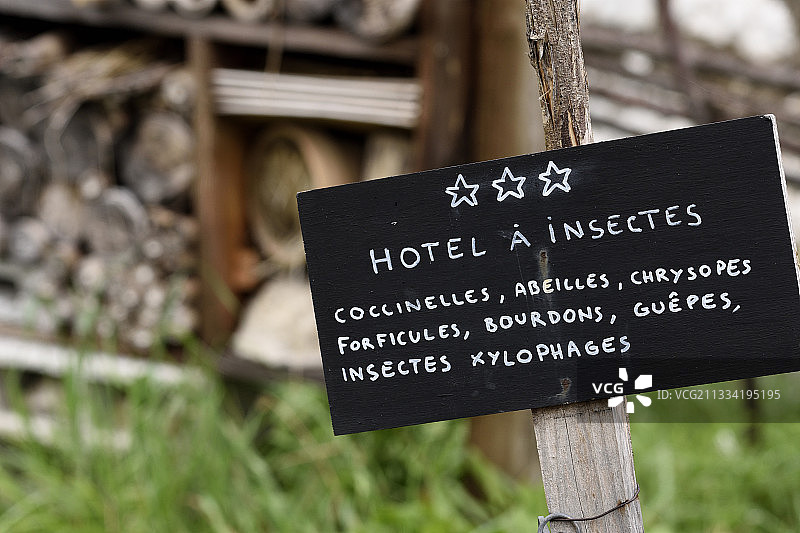 带有教育面板的昆虫旅馆，位于法国芒通卡诺莱斯宫柑橘园图片素材