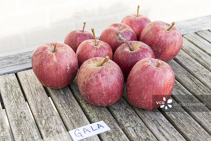 法国加来海峡，花园桌子上的秋季嘎啦苹果图片素材