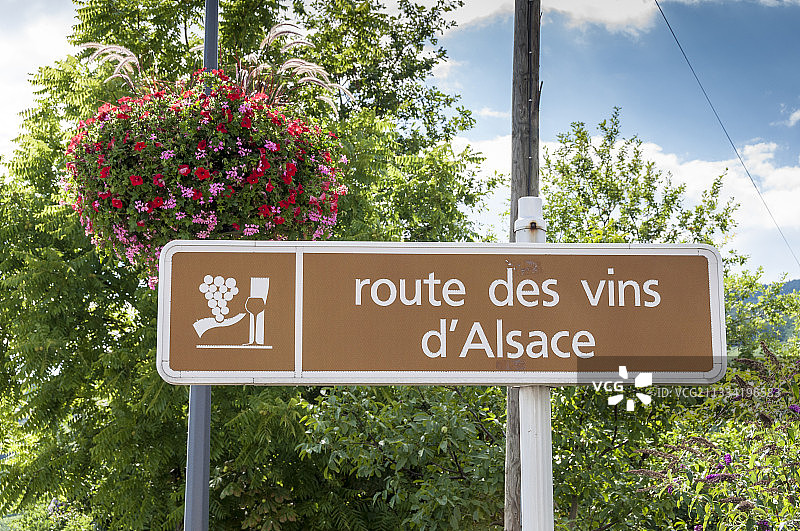 夏季法国阿尔萨斯葡萄酒之路上的面板图片素材