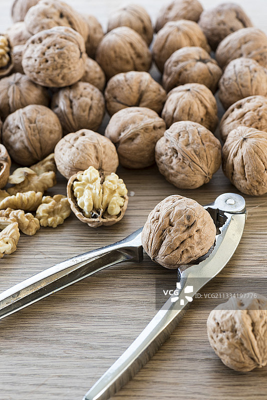 法国摩泽尔核桃树核桃采摘图片素材