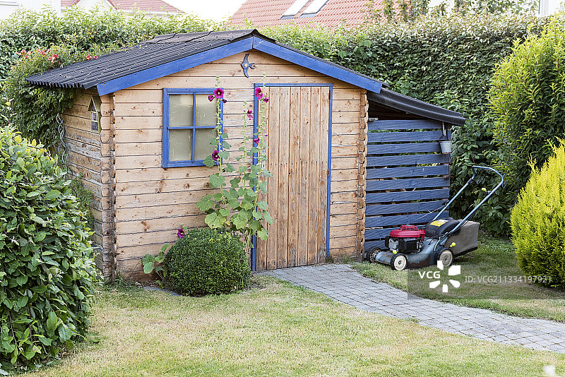 法国夏季花园小屋前的蜀葵图片素材