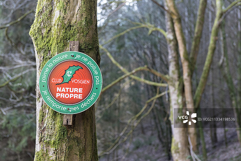 孚日森林中关于尊重自然的公共意识宣传面板图片素材