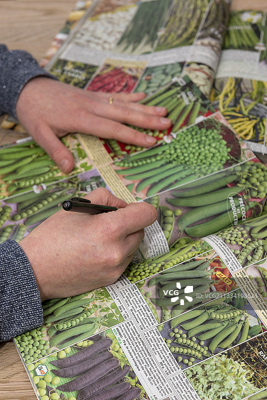 在目录中订购蔬菜种子图片素材