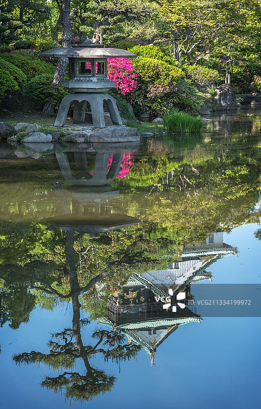 盛开的杜鹃花下的日本大阪城花园图片素材