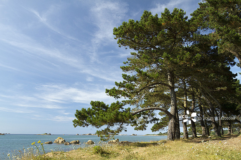 蒙特里松（皮努斯辐射），古尔梅尔湾，普卢格雷斯坎特，法国阿尔默尔城堡图片素材