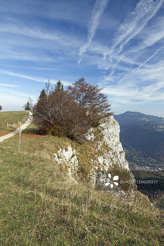 法国杜省梅塔比夫蒙多尔峰顶附近的欧洲山毛榉图片素材