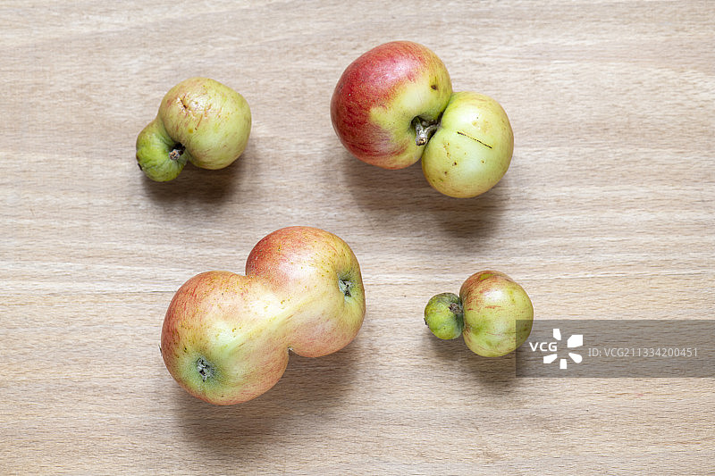 聚花果，秋季，摩泽尔，法国图片素材