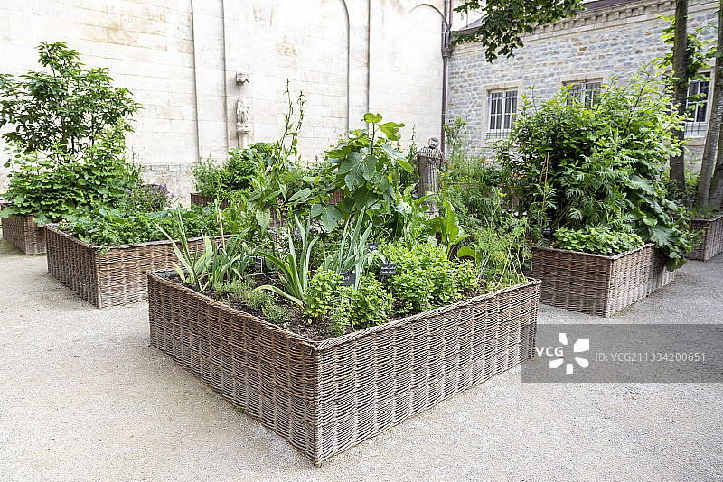 法国滨海布洛涅圣母大教堂花园的柳条方格种植园图片素材