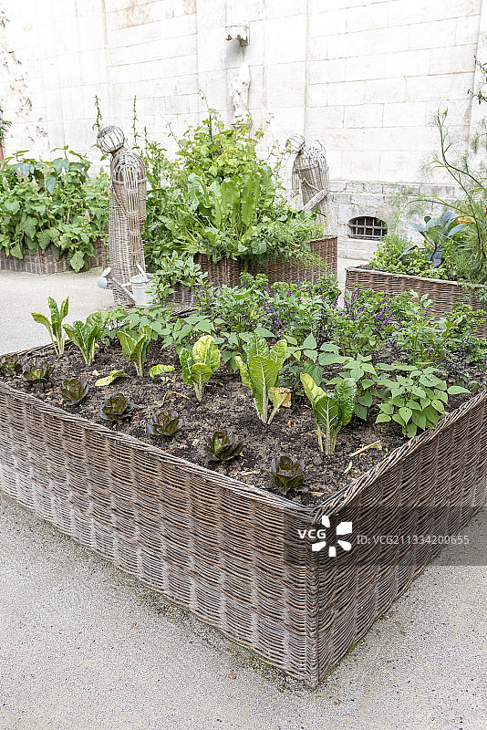 法国滨海布洛涅圣母大教堂花园中的方形柳条花园图片素材