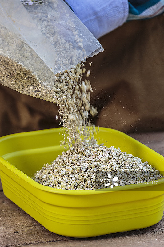 秋季景天植物叶插扦插：将蛭石倒入播种和扦插盆中图片素材