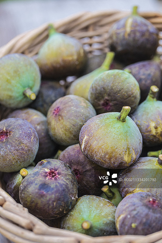 从篮子里采摘的秋季无花果图片素材