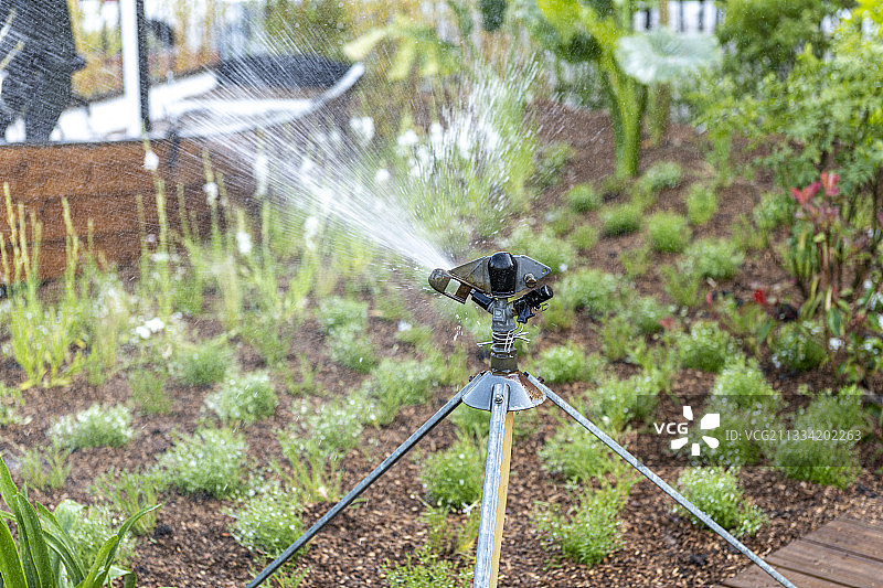 花园里的浇水壶，春天，加来海峡，法国图片素材