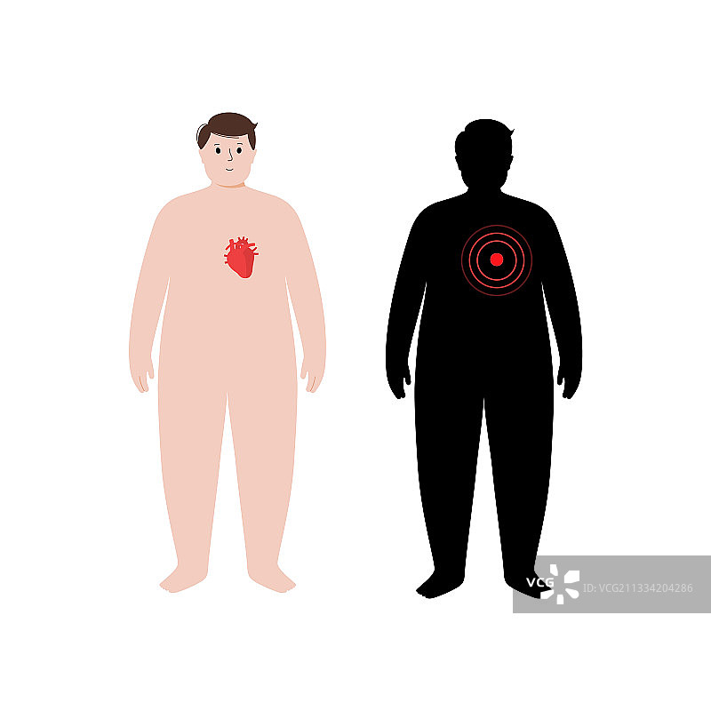 肥胖人体内的器官图片素材