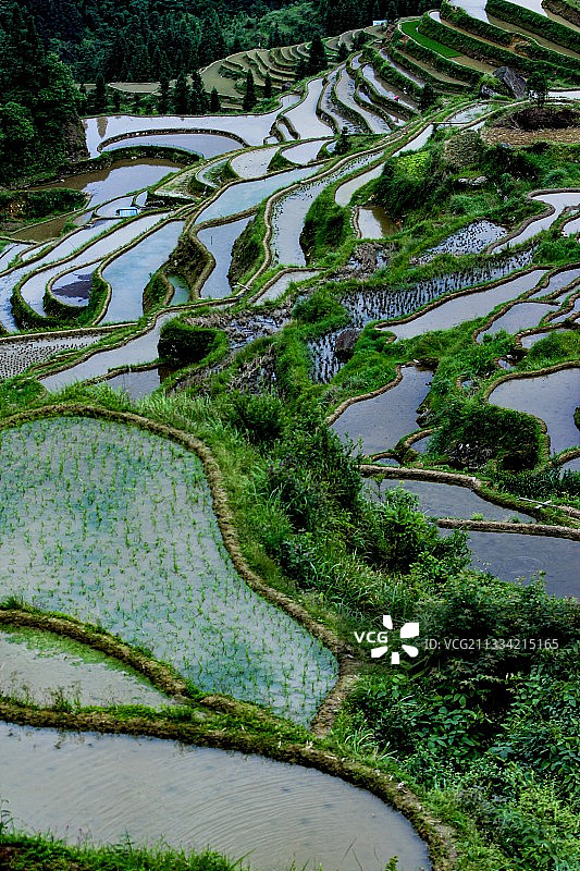 贵州从江县从江加榜梯田图片素材
