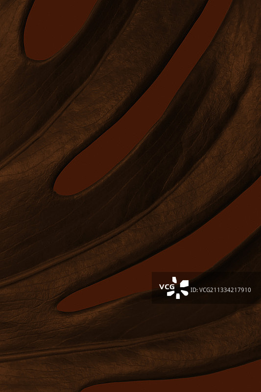 抽象图案特写图片素材