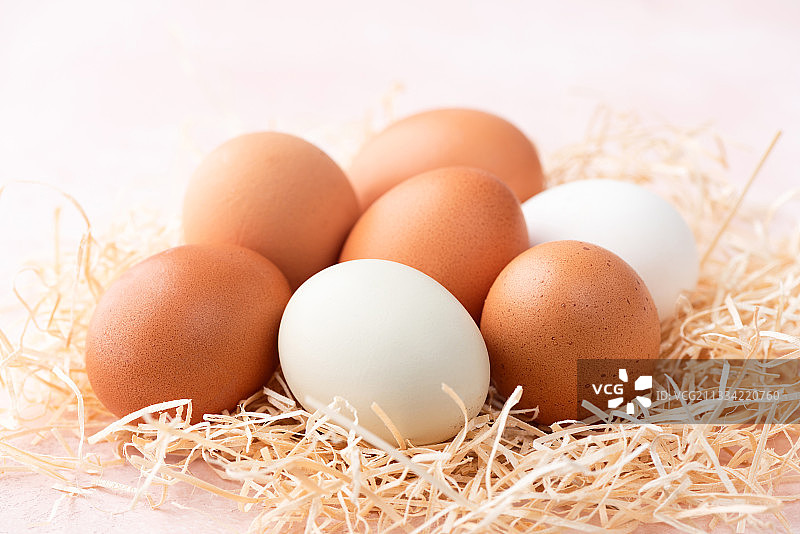 粉色背景上的鸡蛋图片素材