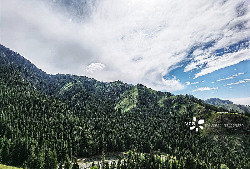 天山森林公园（哈熊沟）图片素材