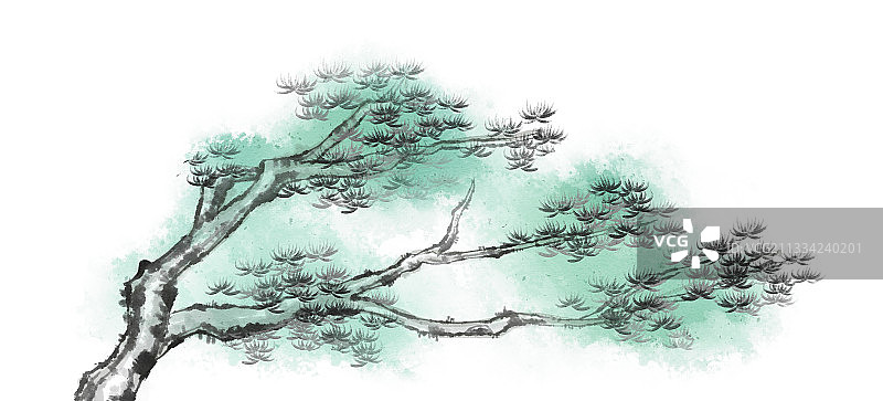 中国风松树插画元素图片素材