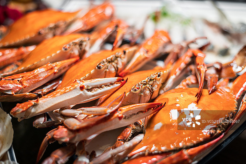 梭子蟹图片素材