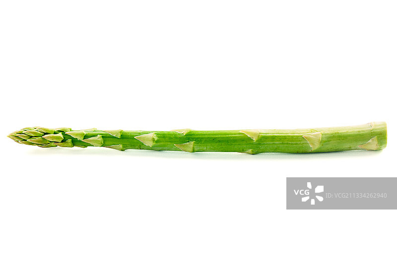 白色背景下的新鲜芦笋高清摄影图片素材