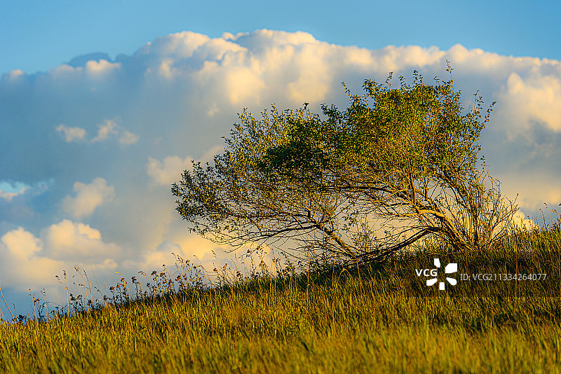 美国纽约州布法罗日落时分的田野风光图片素材