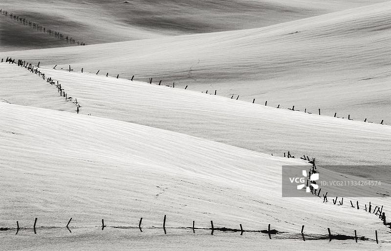 黑白照片：农业田地图片素材