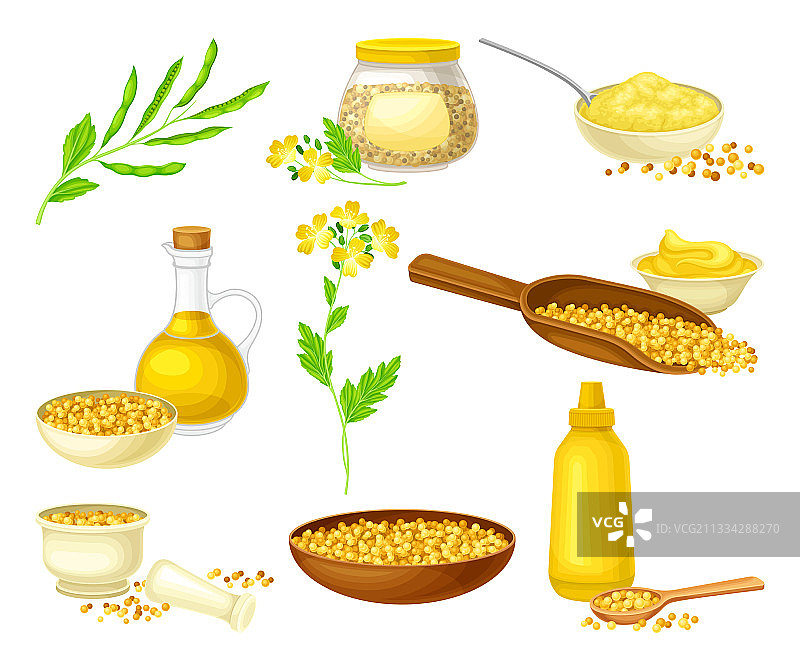 罐子里的芥末籽油和酱汁图片素材