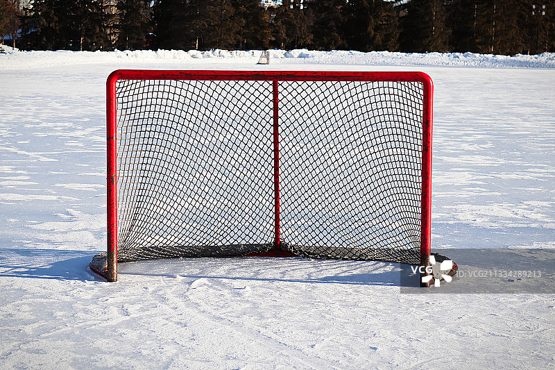 白雪覆盖的田野上的树木图片素材